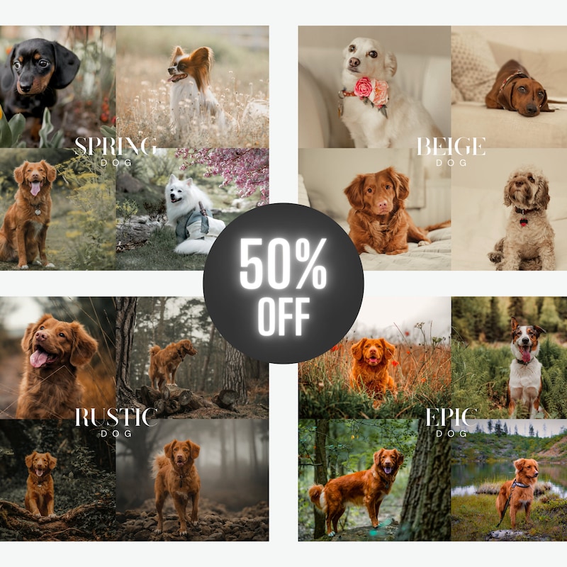hundezubeh-r-outdoor-etsy-de