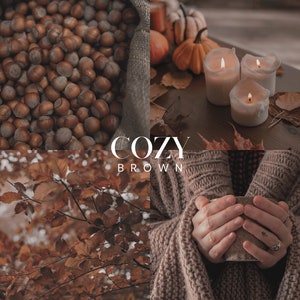 COZY BROWN Lightroom Presets, 10 Mobile & Desktop Presets, Dark Moody Presets, Soft Autumn Aesthetic, Cozy Neutral Earthy Fall Season Preset