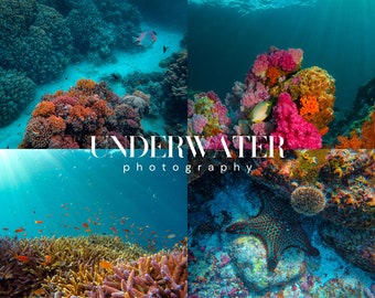 UNDERWATER PHOTOGRAPHY Lightroom Presets, 10 Mobile & Desktop Presets, Aquarium Presets, For Snorkeling and Diving, Cinematic Nature Filters