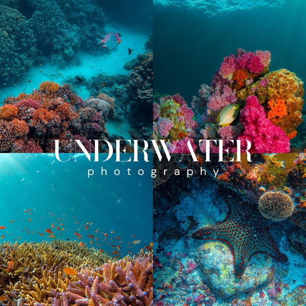 UNDERWATER PHOTOGRAPHY Lightroom Presets, 10 Mobile & Desktop Presets, Aquarium Presets, For Snorkeling and Diving, Cinematic Nature Filters