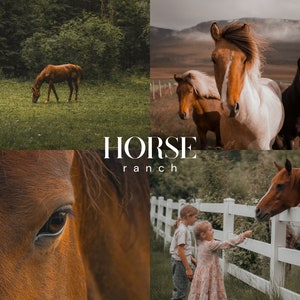HORSE RANCH Lightroom Presets, 10 Mobile & Desktop Presets, Pet Presets, Dark Moody Neutral Presets, Epic Vibrant Horse Photography Filter