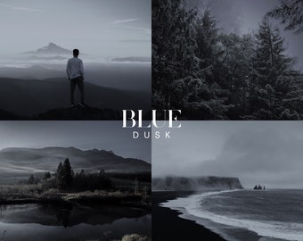 BLUE DUSK Lightroom Presets, 10 Mobile & Desktop Presets, dunkelstimmungsvolle Presets, Gothic, Landschaft, düstere Filmische Naturfotografie Presets