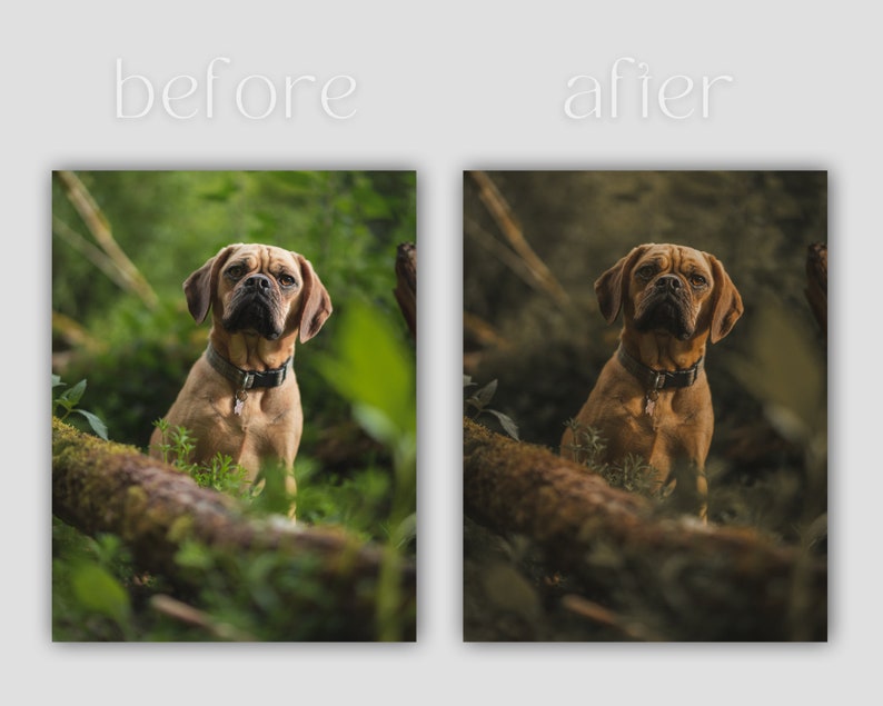 RUSTIC DOG Lightroom Presets 10 Mobile & Desktop Presets Pet Etsy