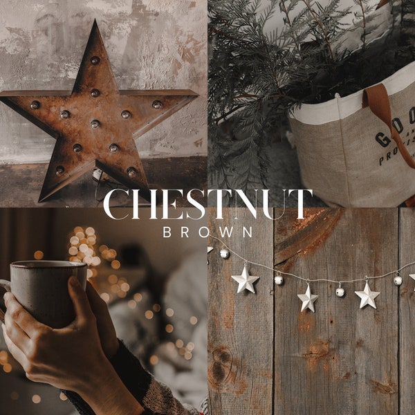 CHESTNUT BROWN Lightroom Presets, 10 Mobile & Desktop Presets, Christmas, Winter, Dark Moody, Natural, Cabin, Rustic, Holiday, Seasonal