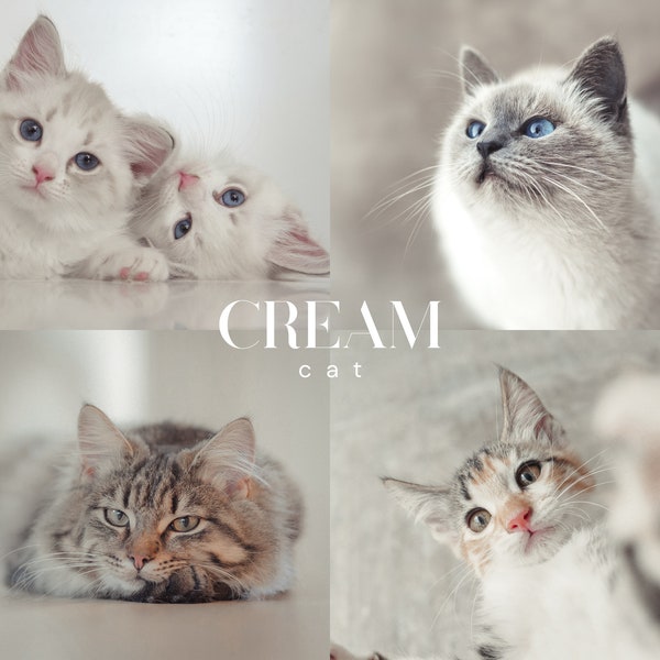 CREAM CAT Lightroom Presets, 10 Mobile & Desktop Presets, Haustier Presets, weiche, launische, cremige Presets, natürlich, Beige, neutrale Presets für Katzen