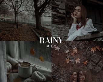 RAINY DAY Lightroom Presets, 10 Mobile & Desktop Presets, Dark Academia, Autumn Presets, Fall Aesthetic, Dark Moody Gothic, Grainy Film