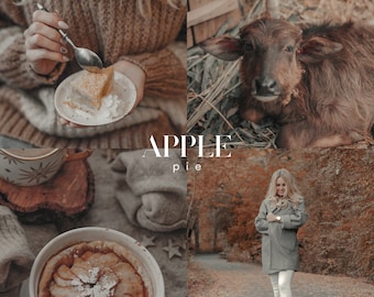 APPLE PIE Lightroom Presets, 10 Mobile & Desktop Presets, Autumn Presets, Fall Aesthetic, Soft Moody Warm Neutral, Creamy Beige Brown Filter