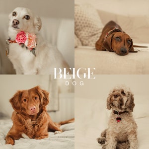 BEIGE DOG Lightroom Presets, 10 Mobile & Desktop Presets, Pet Presets, Soft Moody Cream Presets, Instagram Filter, Neutral Presets for Dogs