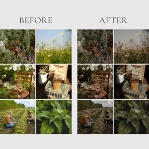 HERBAL APOTHECARY Lightroom Presets, 10 Mobile & Desktop Presets, Dark Cottagecore, Witchy Aesthetic, Natural Moody Witchcore Photo Filter image 2