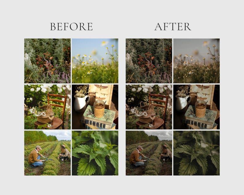 HERBAL APOTHECARY Lightroom Presets, 10 Mobile & Desktop Presets, Dark Cottagecore, Witchy Aesthetic, Natural Moody Witchcore Photo Filter image 2