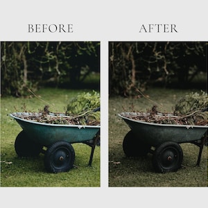 HERBAL APOTHECARY Lightroom Presets, 10 Mobile & Desktop Presets, Dark Cottagecore, Witchy Aesthetic, Natural Moody Witchcore Photo Filter image 9