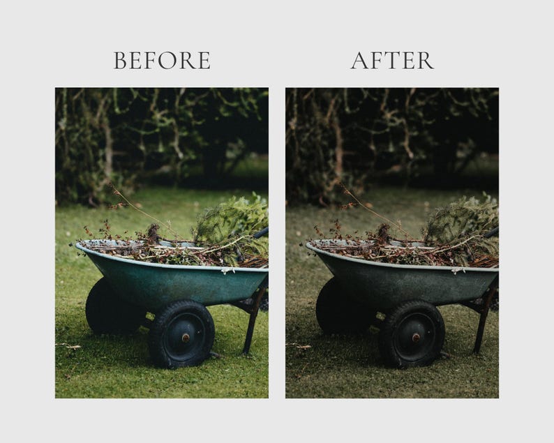 HERBAL APOTHECARY Lightroom Presets, 10 Mobile & Desktop Presets, Dark Cottagecore, Witchy Aesthetic, Natural Moody Witchcore Photo Filter image 9