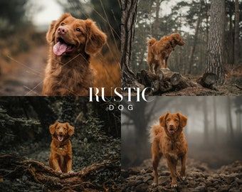 RUSTIC DOG Lightroom Presets, 10 Mobile & Desktop Presets, Pet Presets, Moody Brown Presets, Instagram Photo Filter, Dark Presets for Dogs