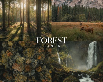 FOREST TONES Lightroom Presets, 10 Mobile & Desktop Presets, Spring Nature, Moody Green Landscape, Natural, Outdoor, Earthy Cinematic Filter