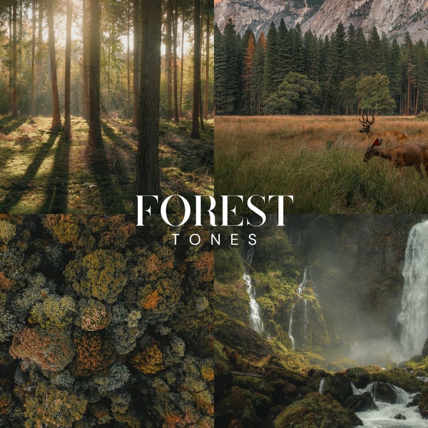 FOREST TONES Lightroom Presets, 10 Mobile & Desktop Presets, Spring Nature, Moody Green Landscape, Natural, Outdoor, Earthy Cinematic Filter