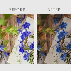 HERBAL APOTHECARY Lightroom Presets, 10 Mobile & Desktop Presets, Dark Cottagecore, Witchy Aesthetic, Natural Moody Witchcore Photo Filter image 8