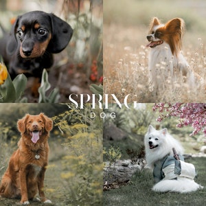 SPRING DOG Lightroom Presets, 10 Mobile & Desktop Presets, Natural Outdoor Pet Presets, Puppy Presets, Earthy Neutral Pastel Photo Filter