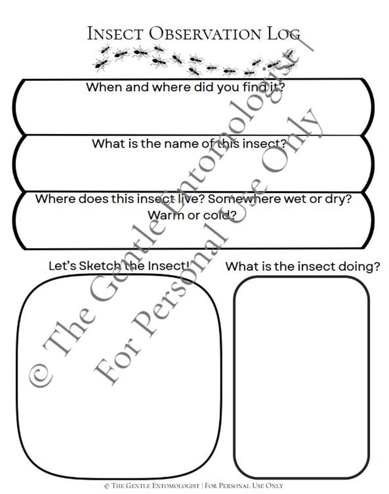 Insect Study Block Area Insect Observation Journal Printable for Kids | Bug Study Worksheets ...