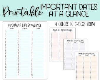 Important Dates Planner Insert: Birthday Tracker, Future Log (PDF)