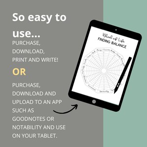 Wheel of Life Assessment Planner Printable, Level 10, Self Improvement ...