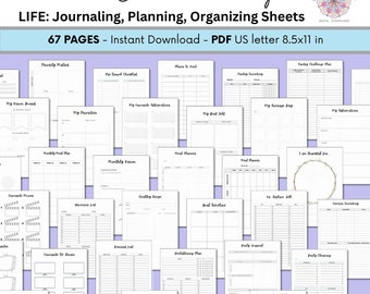 Premade Bullet Journal Pages | Daily Life Organizing Planner + Journal Sheets | 67  pages dotted undated printable | Instant Download PDF