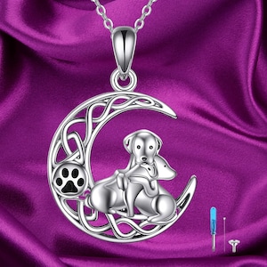 Urn Necklaces Sterling Silver Cremation Jewelry for Ashes of Loved Ones Memorial Keepsake Bereavement Gifts for Women Men