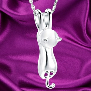 Pet Cremation Jewelry for Ashes Memorial Ash Jewelry Keepsake Cat Urn Pendants for Animal Ashes Necklace