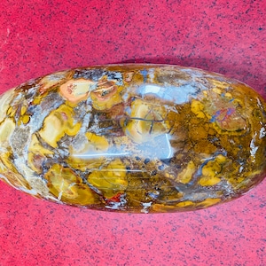 Shiva Lingam de piel de hiena extragrande / Cristal con poder curativo cargado / Meditación con jaspe de cobra real / Shiva Lingam para decoración del hogar