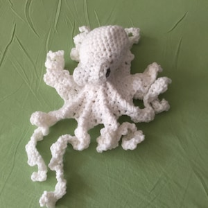 Octopodes, octopussen of octopussen (kleine gehaakte octopus)