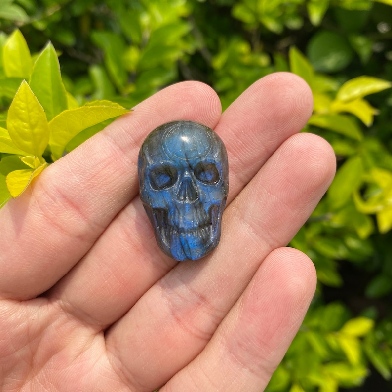 Puede incluir: Un cristal de labradorita azul tallado en forma de cr&aacute;neo humano. El cr&aacute;neo tiene un tallado detallado de los rasgos faciales.