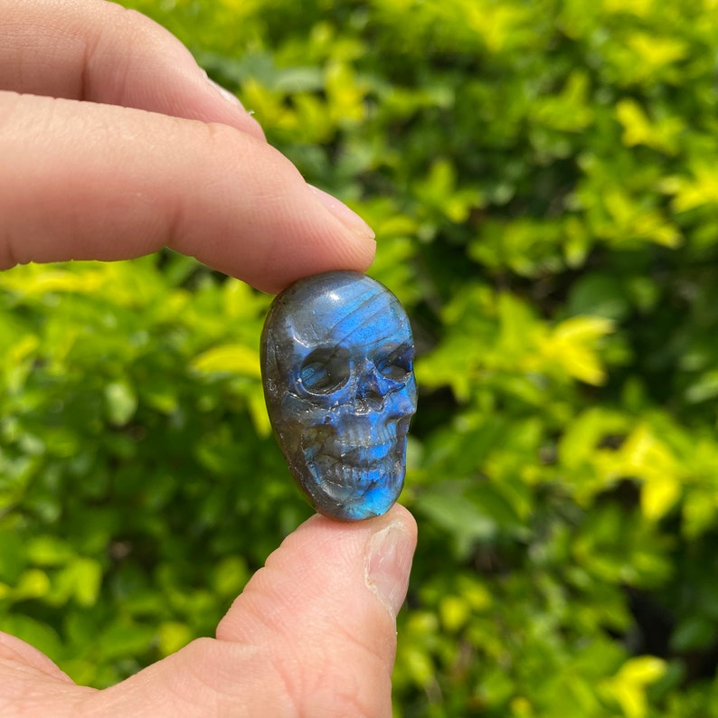 Puede incluir: Una piedra preciosa de labradorita azul tallada en forma de cr&aacute;neo. El cr&aacute;neo tiene una talla detallada de los ojos, la nariz y la boca.
