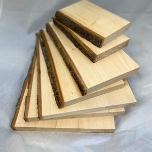 Single live edge with bark English Lime Woodburning, pyrography or Relief carving blanks