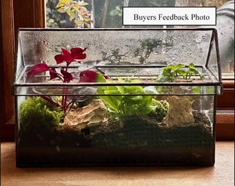 terrarium indoor planter with removable top.