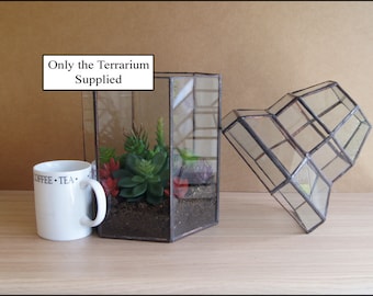 terrarium-with removable Top