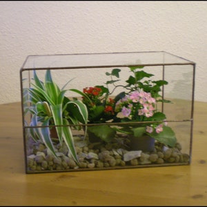 For Indoor Garden_Cacti _ Suculent