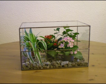 terrarium Indoor planter