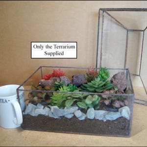 May include: A rectangular glass terrarium with a metal frame, filled with soil, rocks, and artificial succulents in shades of green, red, and brown. The text "Only the Terrarium Supplied" is visible. A white mug is on the left.
