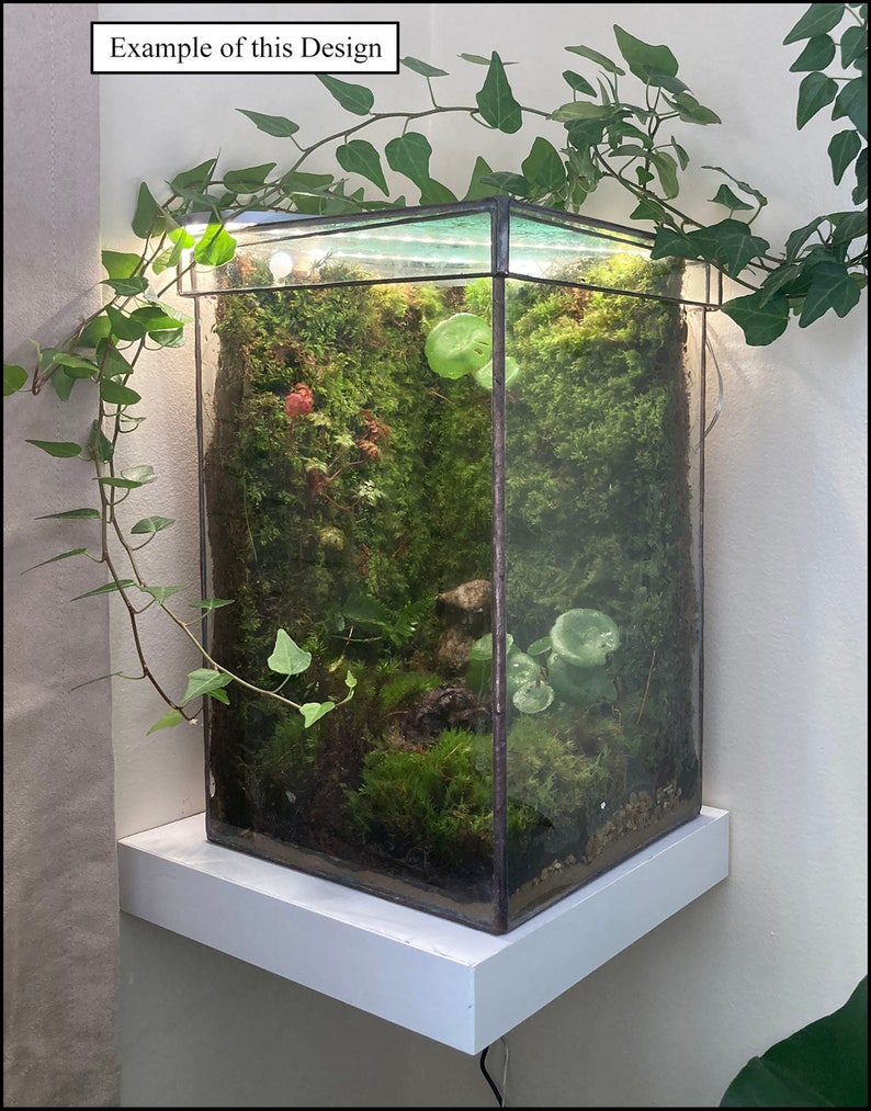 Large Closed Terrarium with removable top Check out the video link in description image 1