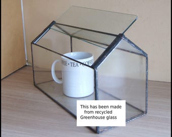 terrarium planter-  Ideal for isopods ( check out video link in description)