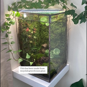 large closed terrarium with removable top