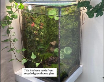 large closed terrarium with removable top