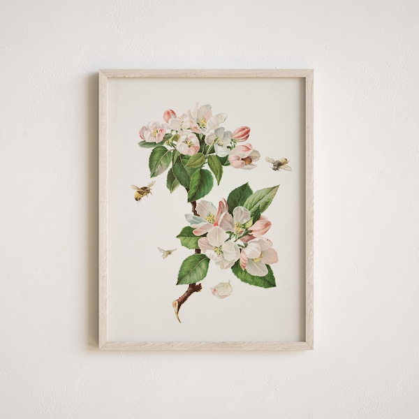 Vintage Apple Blossom painting, Antique flower art, Vintage flower painting, rustic wall decor, Farmhouse, printable wall art DIGITAL Prints