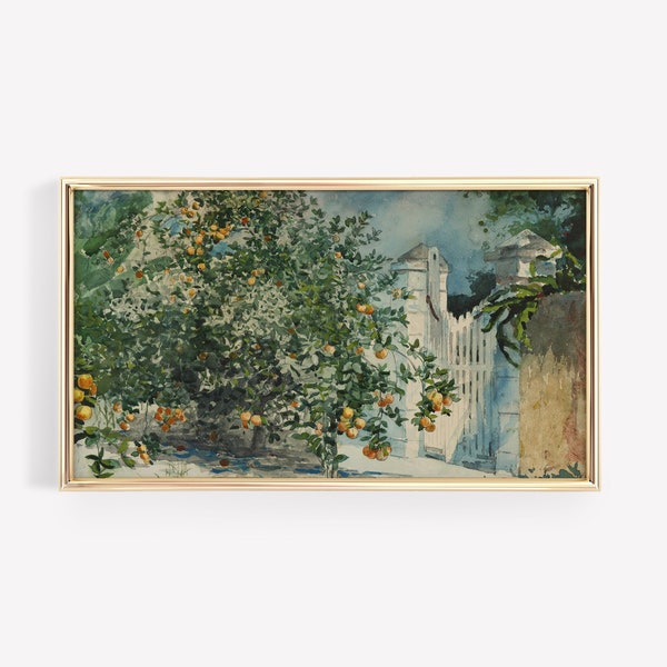 Samsung Frame TV Art Vintage Fruit Trees Painting | Summer Garden Watercolor painting, Citrus Fruit Drawing, Digital Downloadable