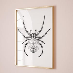 Spider Print, Scary Halloween Decor, Hairy Spider Poster, PRINTABLE DIGITAL Downloadable
