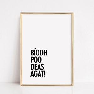 Funny Irish Bathroom Prints, Fun Irish Toilet Decor, New Home Ireland Gifts Have A Nice Poo Poster, Gaeilge art, Printable Wall Art Download