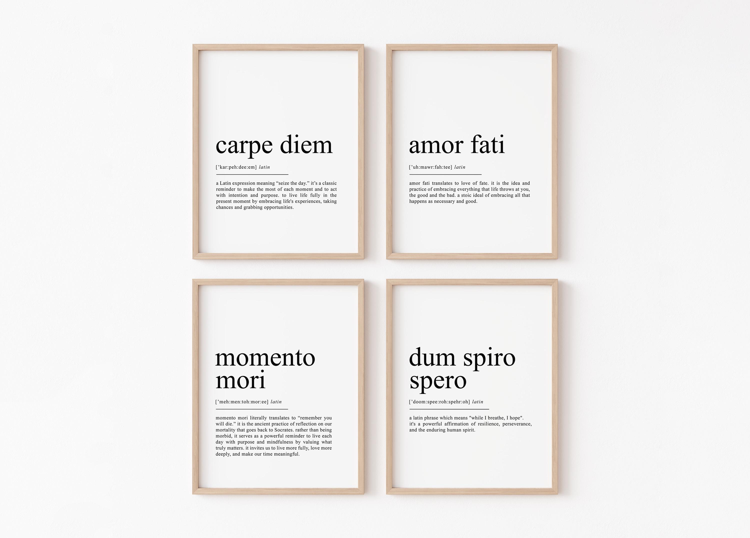 Latin Quote - Etsy, image size:3000x2152