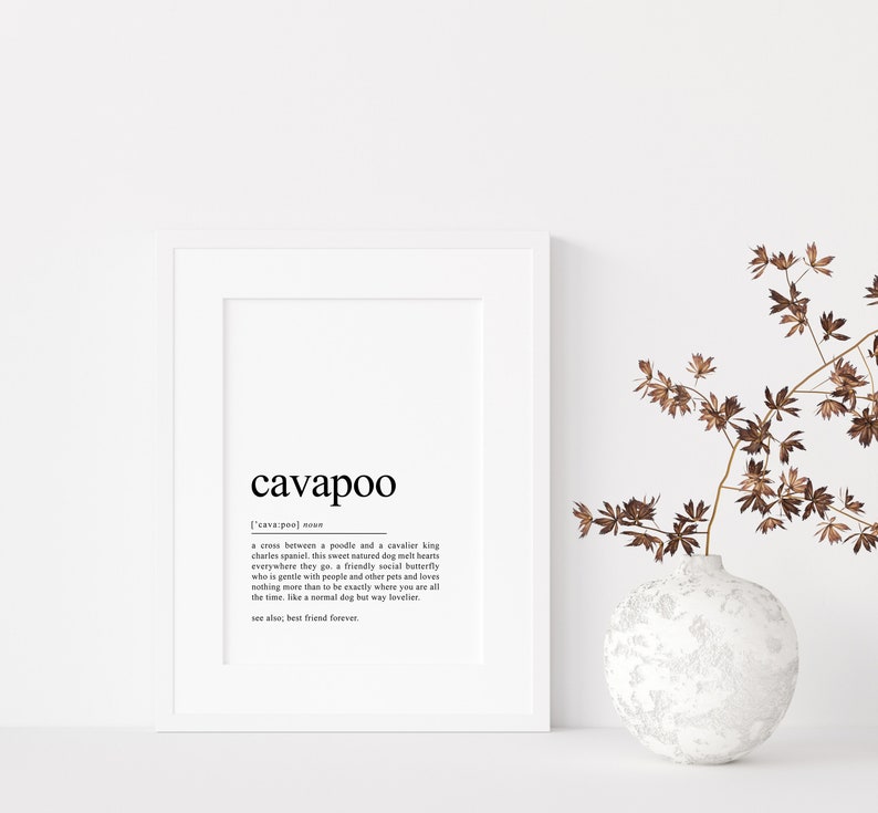 May include: A white framed print with the word "cavapoo" defined as a cross between a poodle and a cavalier king charles spaniel. The text describes the cavapoo as a sweet-natured dog that melts hearts everywhere they go. The print also includes the text "see also: best friend forever."