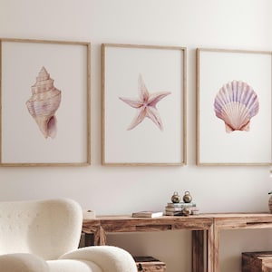 May include: Three framed watercolour prints depicting marine life. The prints show a seashell, a starfish, and a scallop shell, each in soft pastel colours. The frames are a light wood tone, adding a natural touch to the coastal theme.
