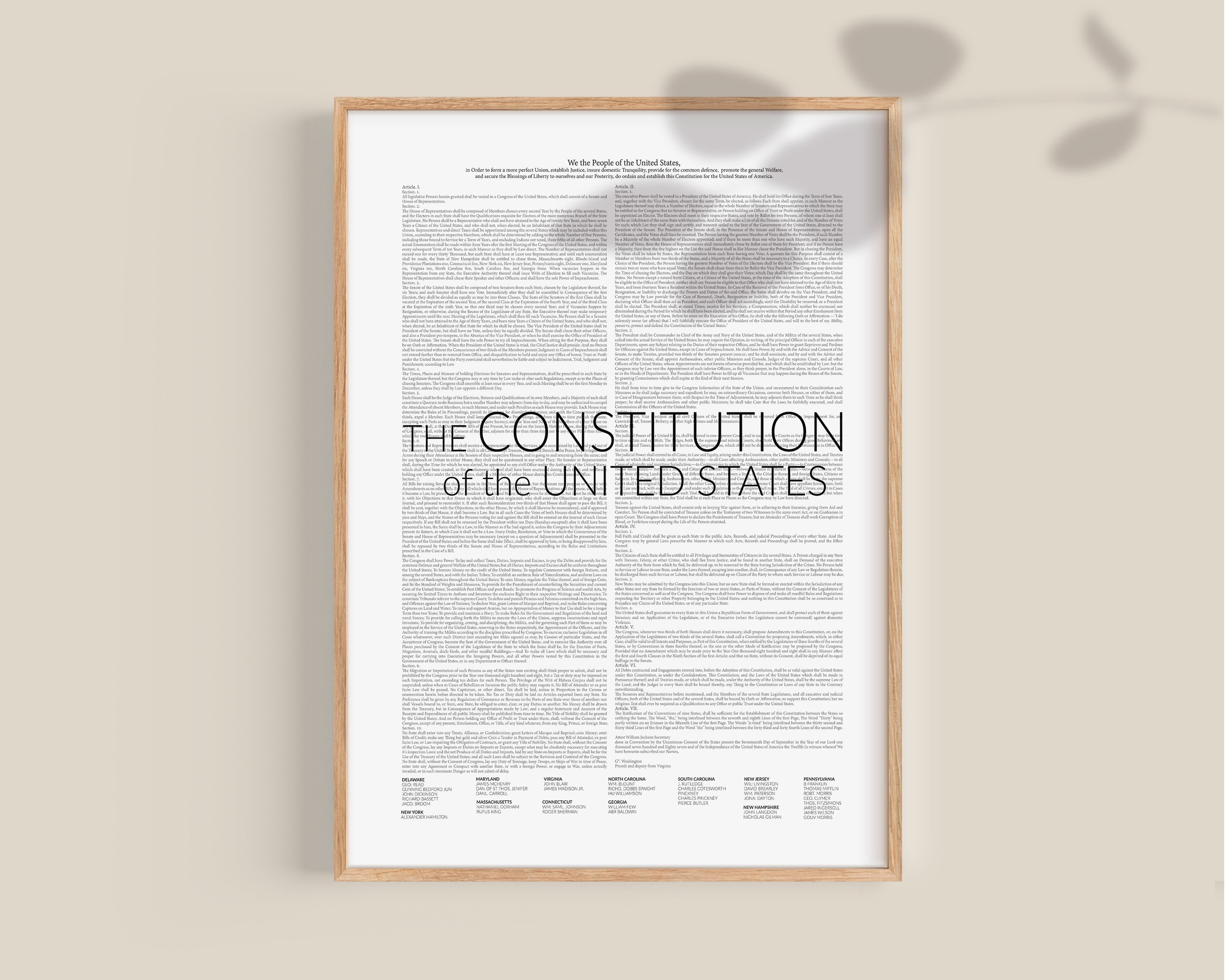 We The People US Constitution HD POSTER