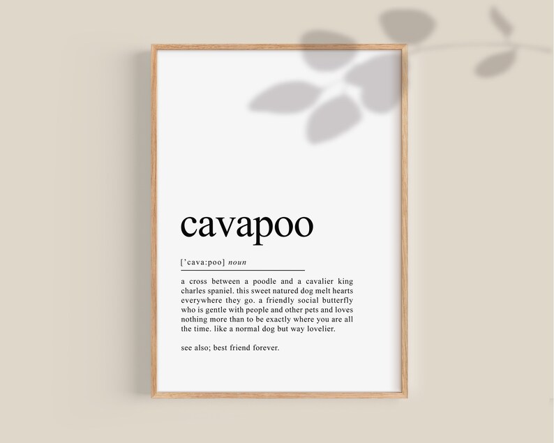 May include: A black and white printable wall art print with the word "cavapoo" defined as a cross between a poodle and a cavalier king charles spaniel. The text describes the cavapoo as a sweet-natured dog that melts hearts and is a friendly social butterfly.